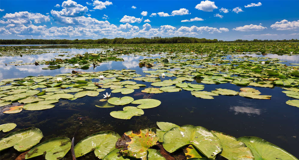 Romania Danube Delta mischa blog