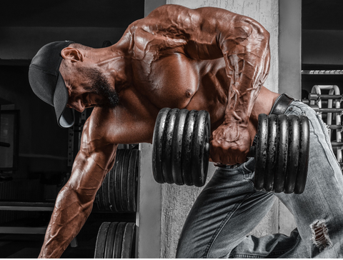 Aminolase - Retain Muscle Mass and Increase Protein Absorption