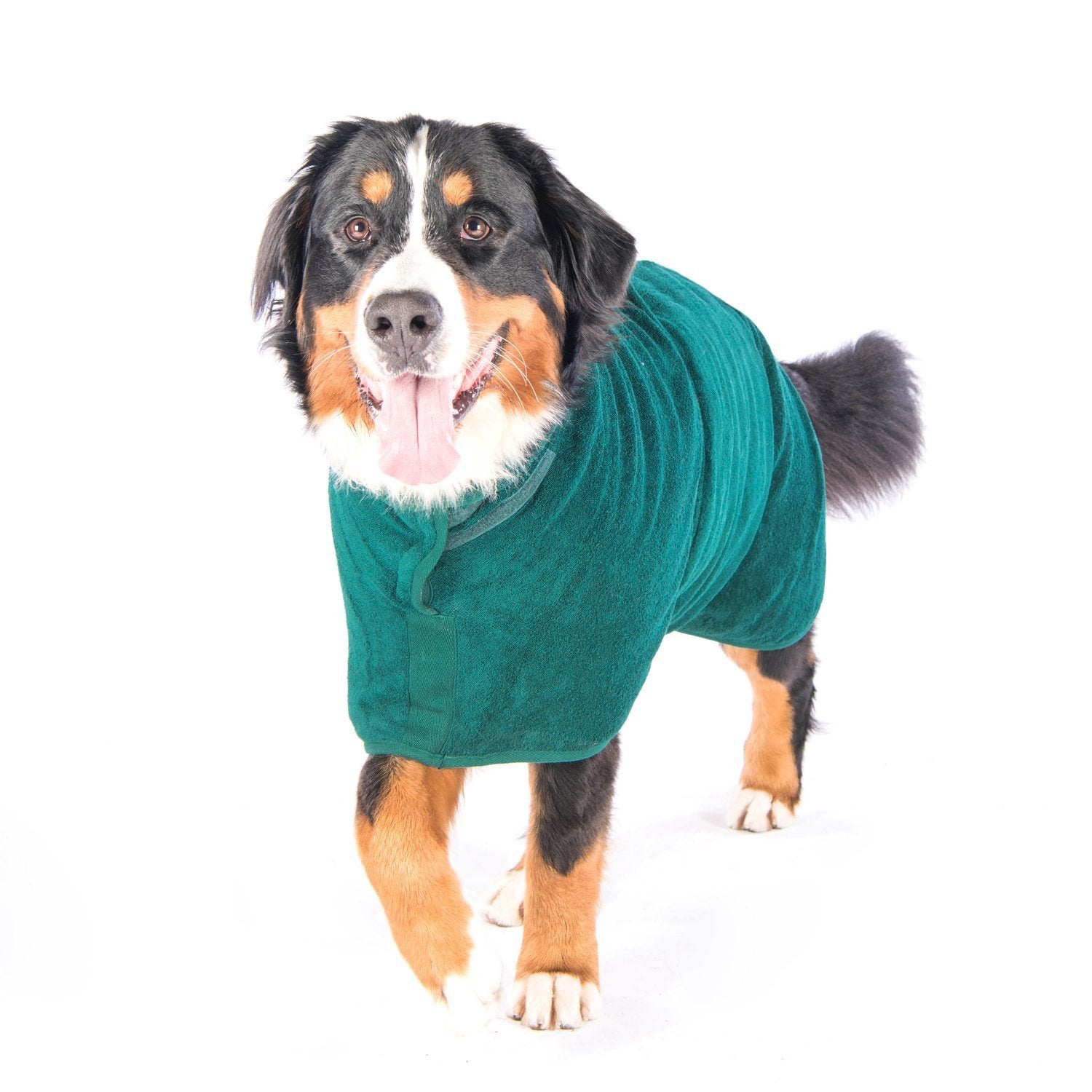 ruff tumble dog drying coat