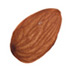 Almond-small.jpg