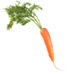 Carrot-rotated-small.jpg