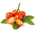Rosehip-cropped-small.jpg