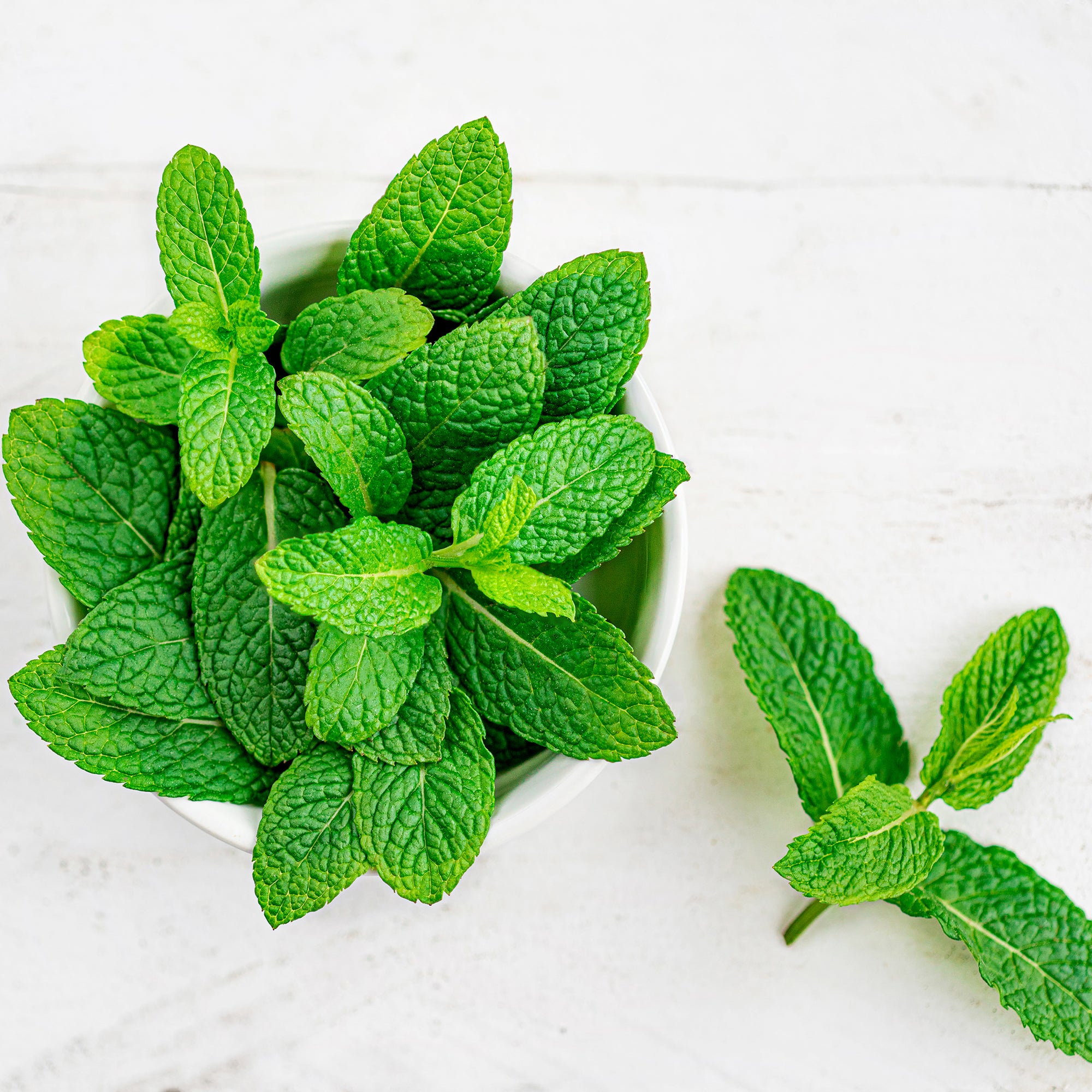 Mind Blowing Mint Skin Benefits  iHeart Nature