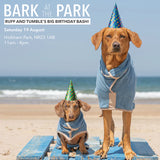 Bark in the Park Holkham Hall