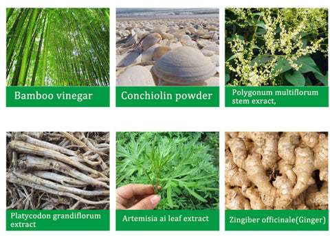 Ingredientes naturais de plantas: sistemas de desintoxicação de al'Iver-cuidados de gengibre Boutique