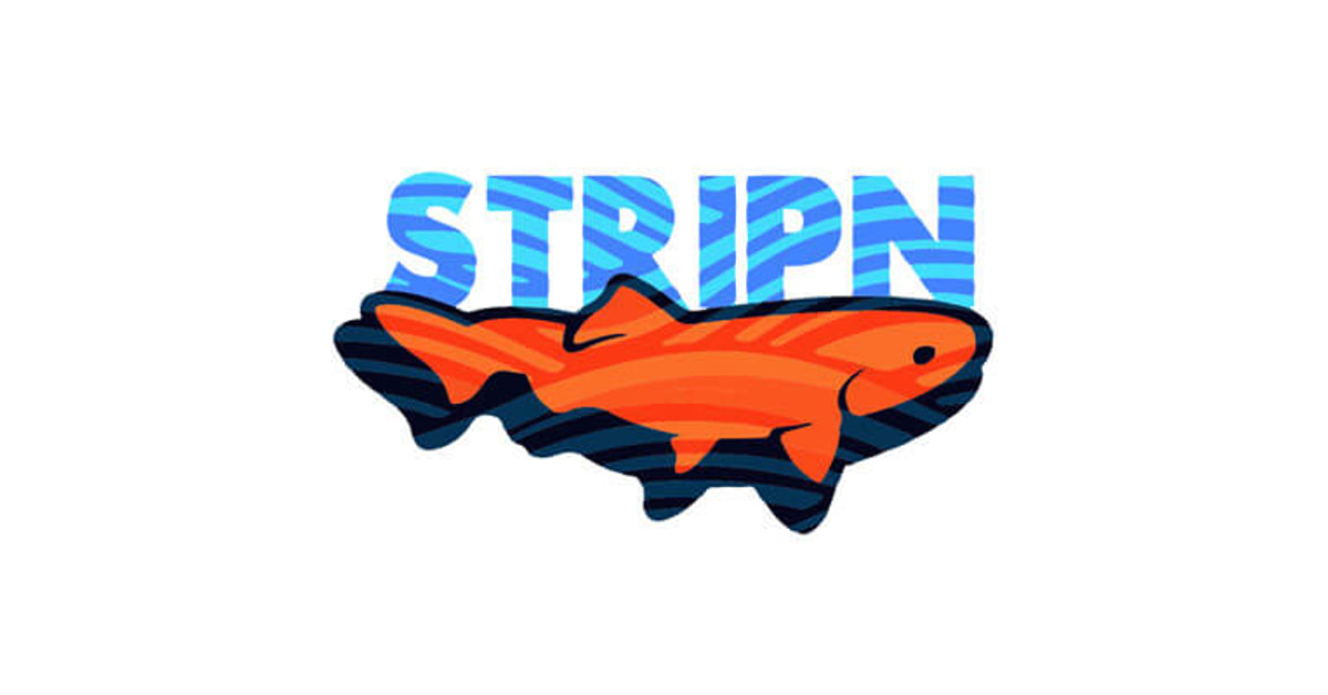 Stripn Flywear: Fly Fishing's most unique T shirts, Hoodies, and art.
