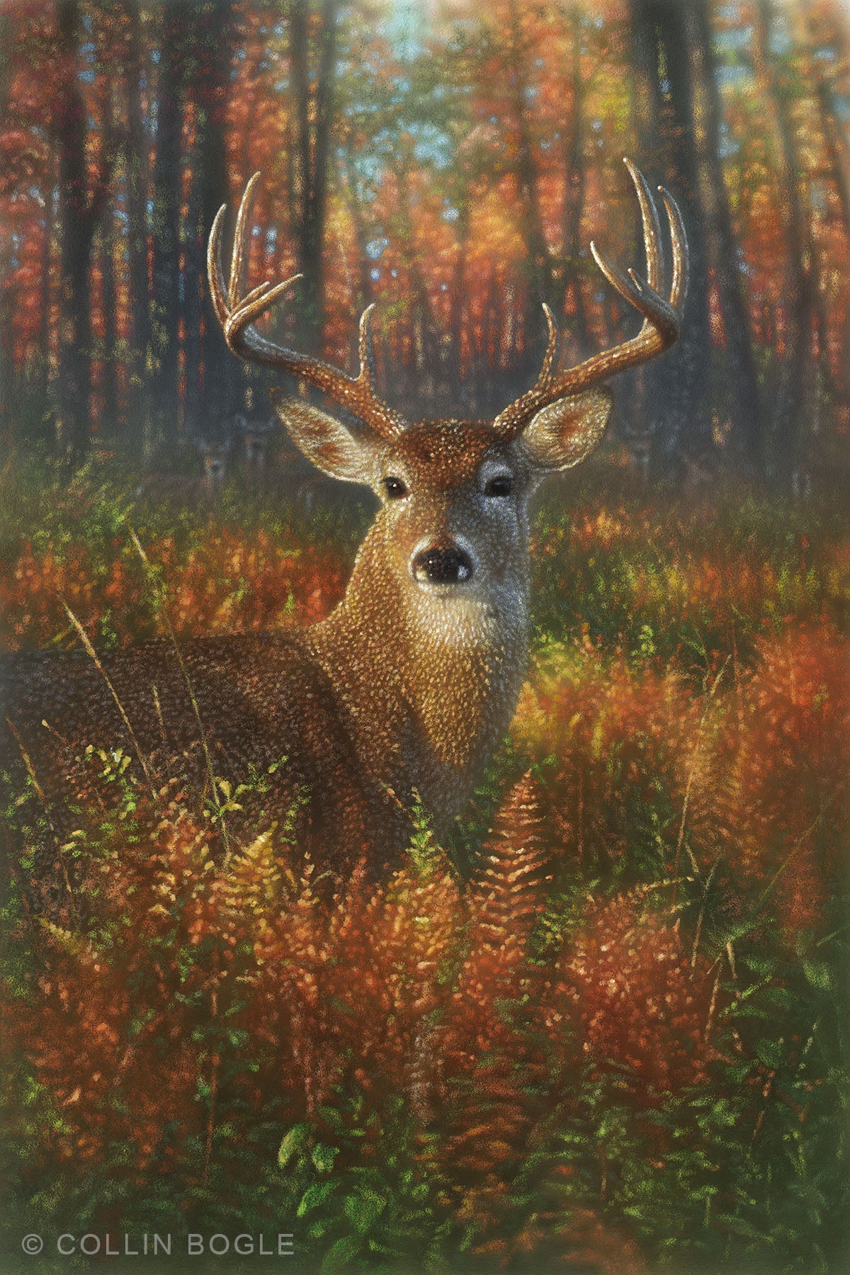 deer paintings