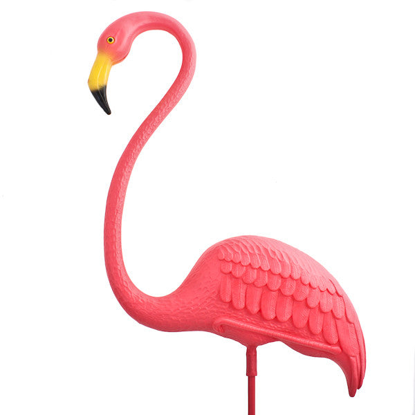 featherstone flamingo