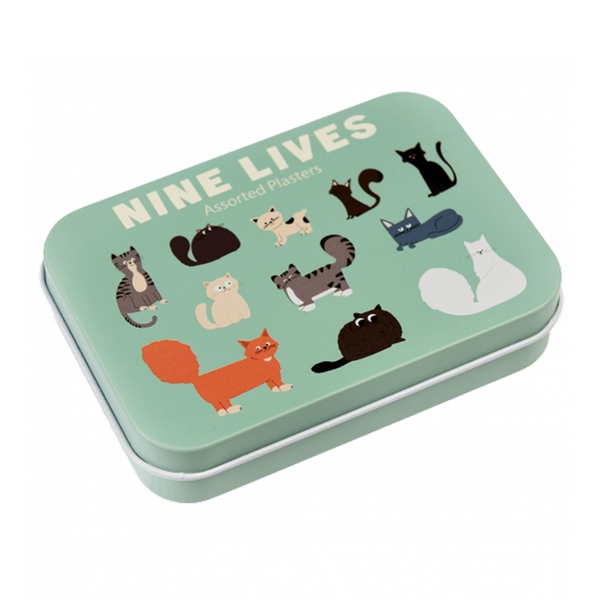 Rex plasters in Tin Nine Lives