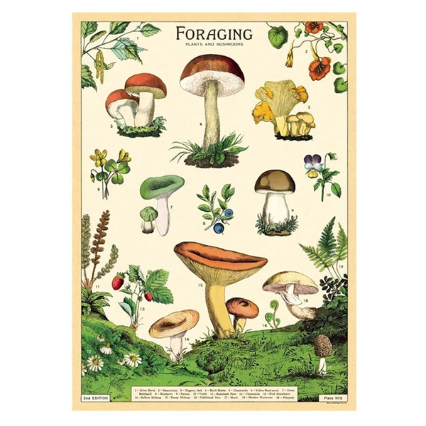 Cavallini Vintage Poster Foraging