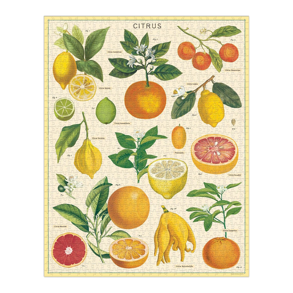 Cavallini 1000 Piece Puzzle Citrus