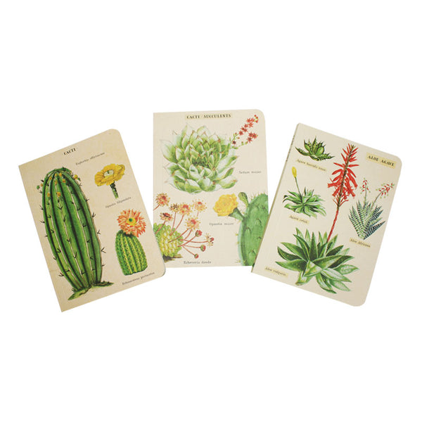 Cavallini Note Mini Notebook Succulents Lined