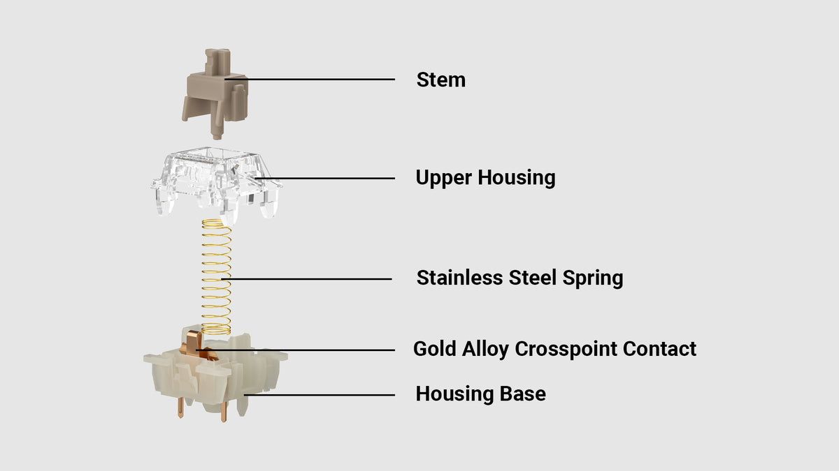 Gateron Baby Raccoon Linear Switch Structure.jpeg__PID:6e4b6f05-b8a2-41e8-a303-f2dc81f981dc