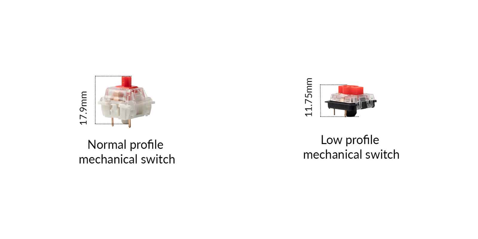 Normal-profile-mechanical-switch-vs-low-profile-mechanical-switch.jpg__PID:95f4b54c-389e-4367-b6f0-b294ea6dcb31