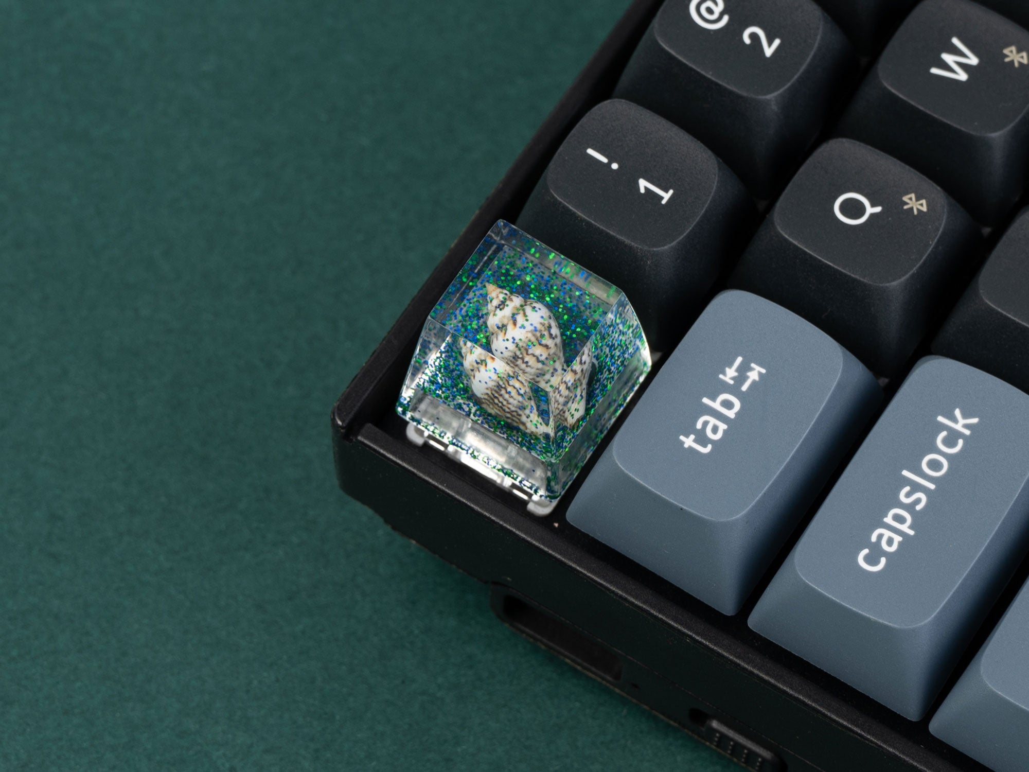 Whelk-Resin-Artisan-Keycap-Blue.jpg__PID:b13168b8-f79f-4953-ba6a-3b58b86652ae