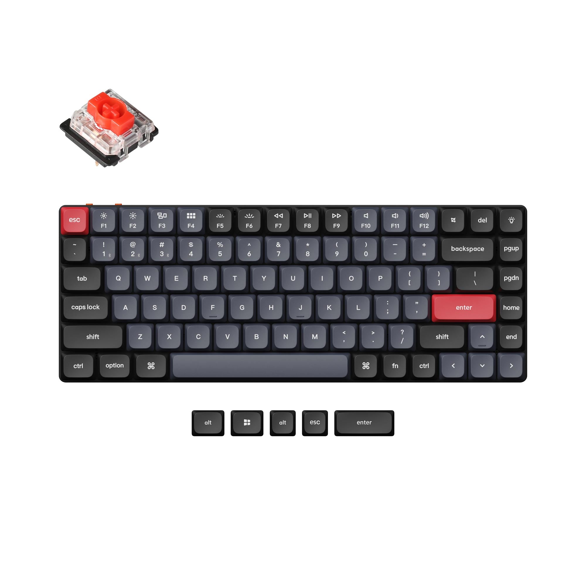 Black / RGB Backlight / Red (Hot-Swappable)