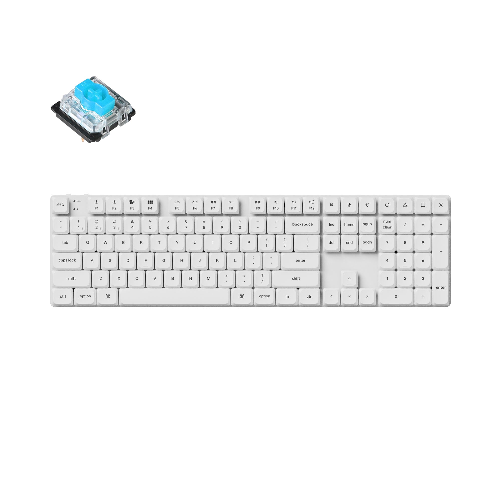 White / RGB Backlight / Blue (Hot-swappable)