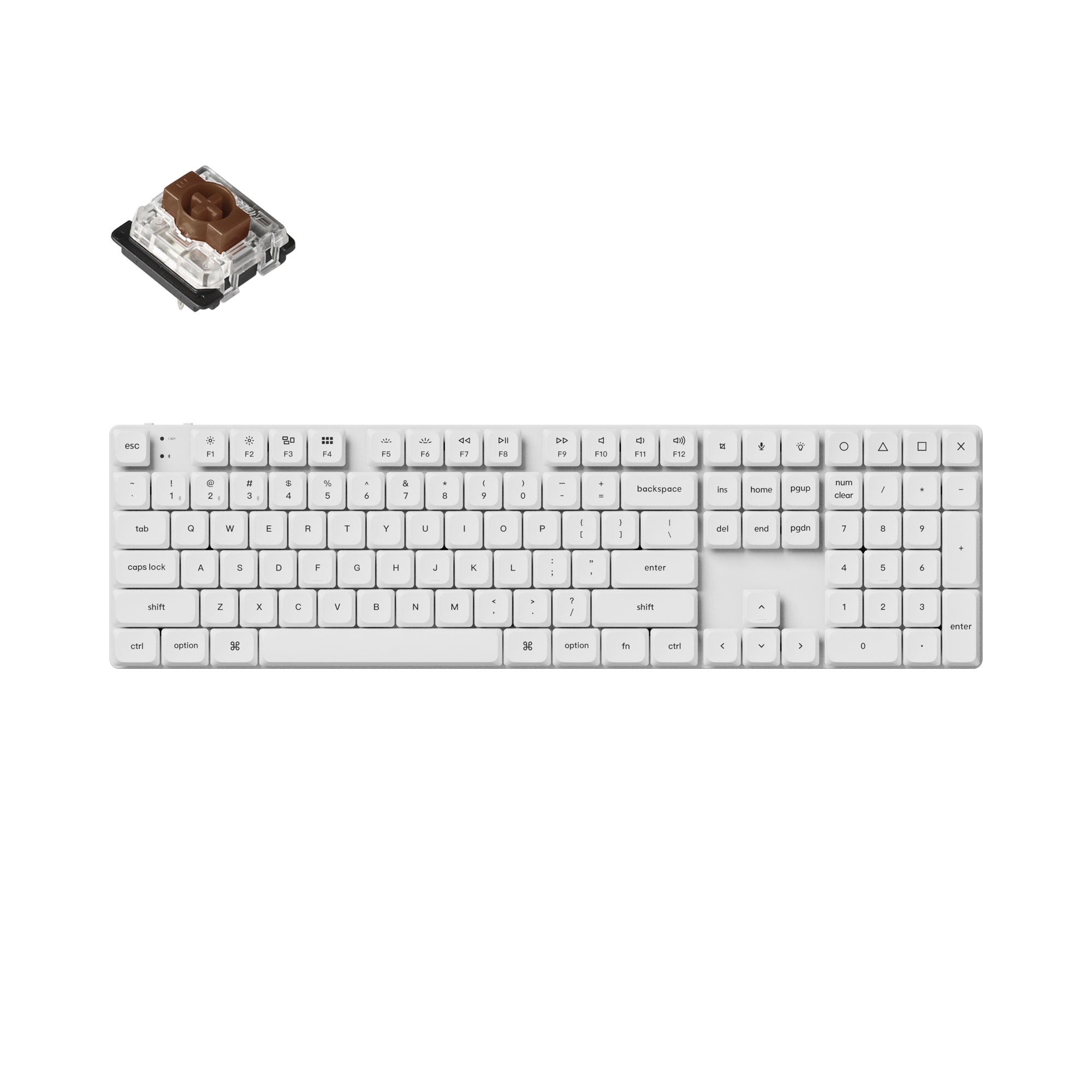White / RGB Backlight / Brown (Hot-swappable)
