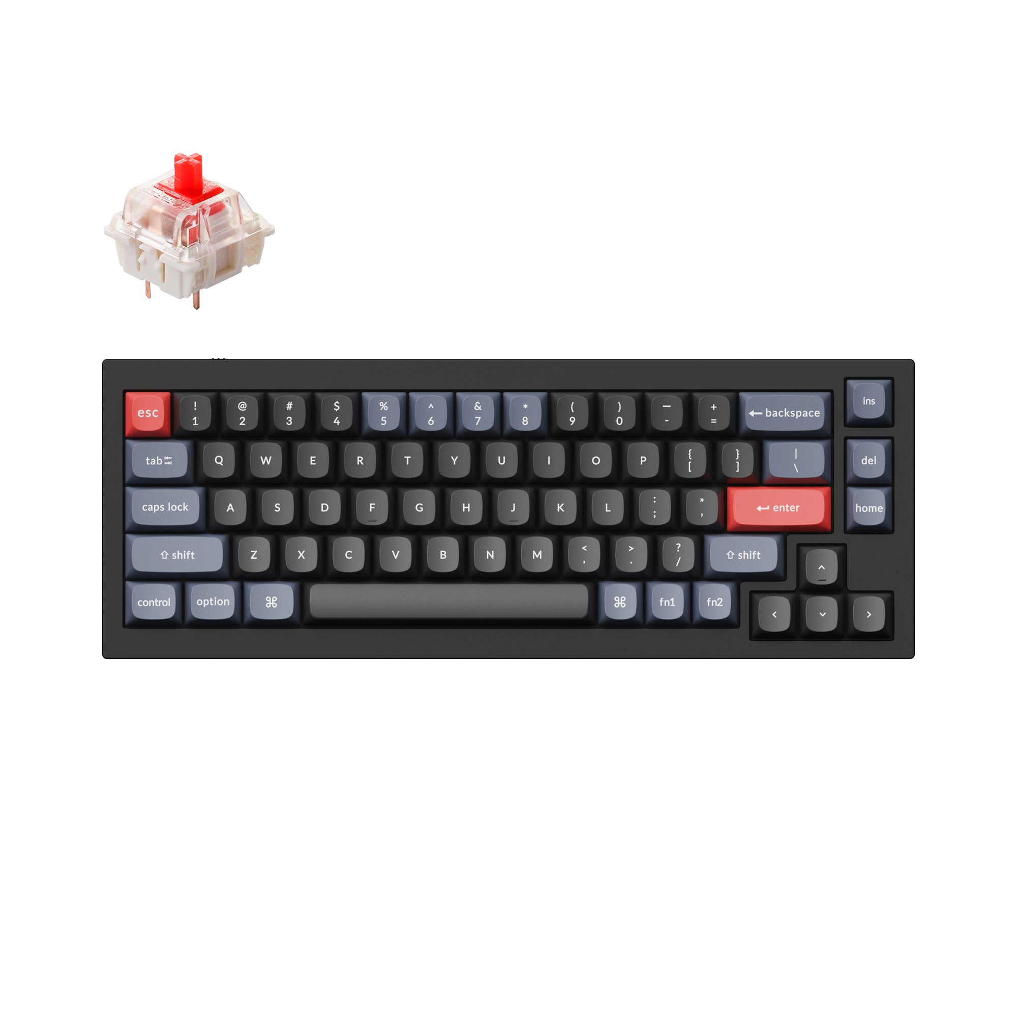 Keychron C1 Wired Mechanical Keyboard (US ANSI Layout)