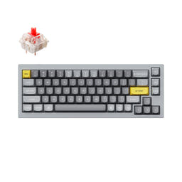 Keychron Q2 QMK Custom Mechanical Keyboard as variant: Fully Assembled / Silver Grey - B / Gateron G Pro Red