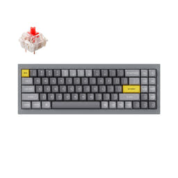 Keychron Q7 QMK Custom Mechanical Keyboard as variant: Fully Assembled / Silver Grey - B / Gateron G Pro Red