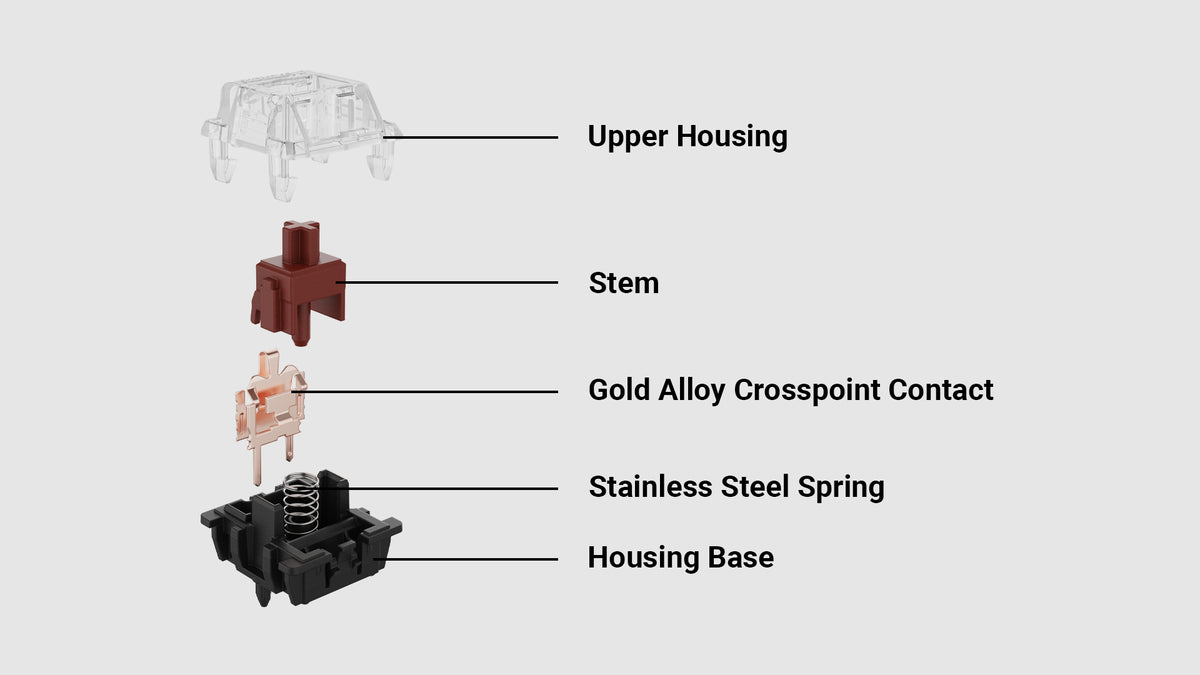 Inside Gateron KS-8 Mechanical Brown Switch