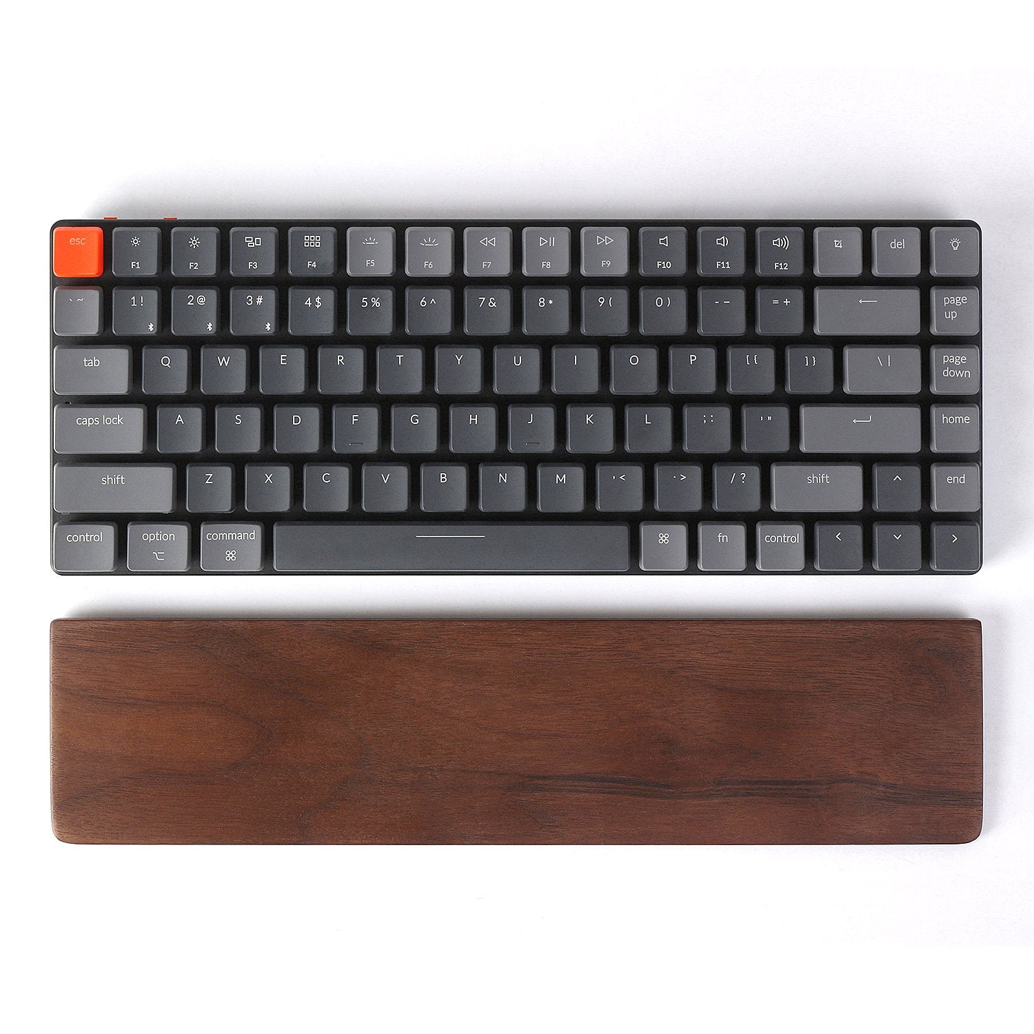 keyboard palm rest