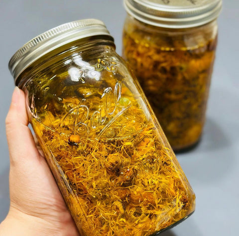 two jars with calendula flowers infusing in oil