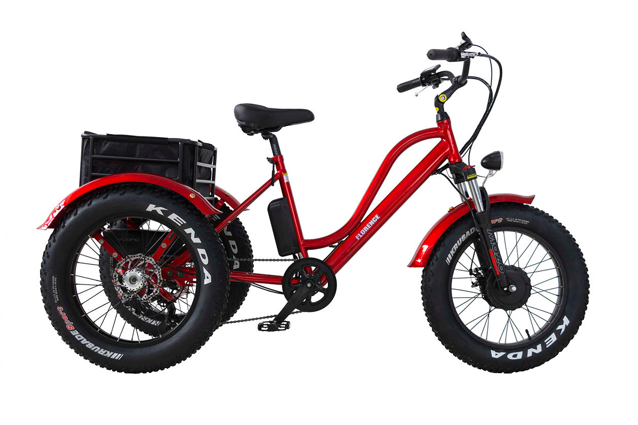 3 wheel fat tire electric bike