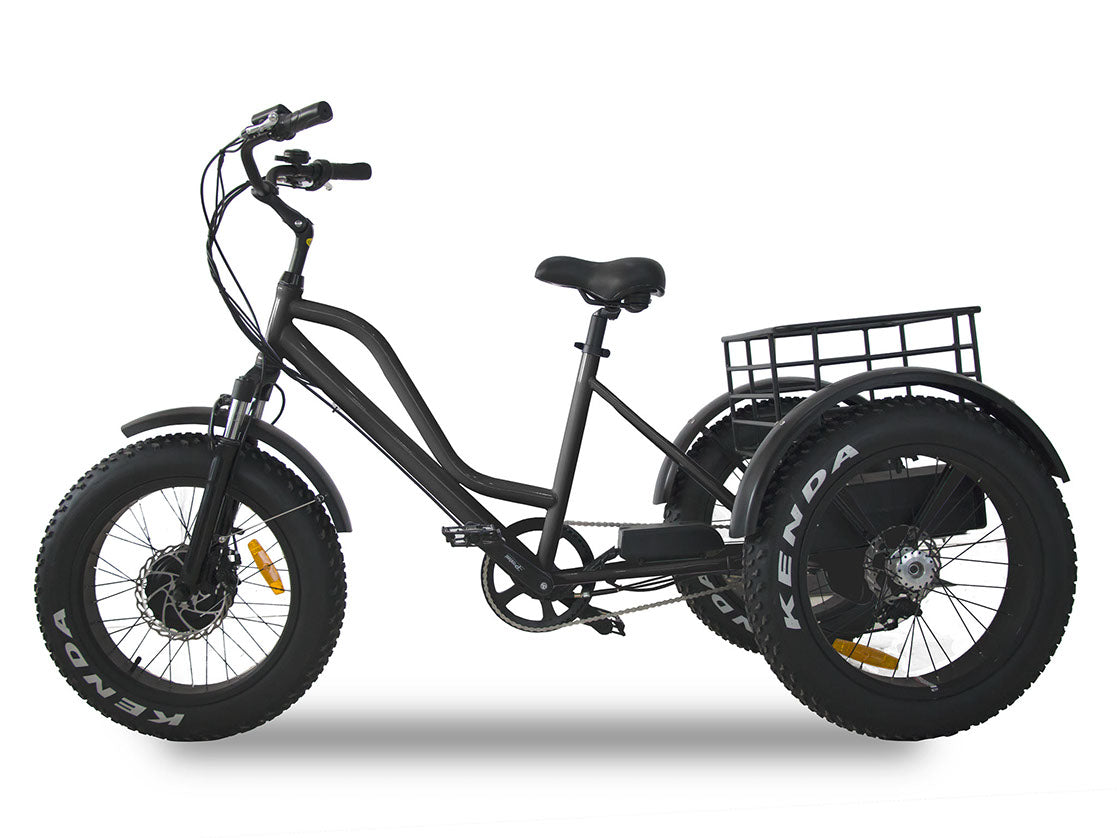 3 wheel ebike