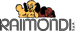 Raimondi logo