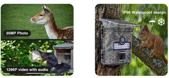 Trail Camera includes 1296P video and photo with waterproof design