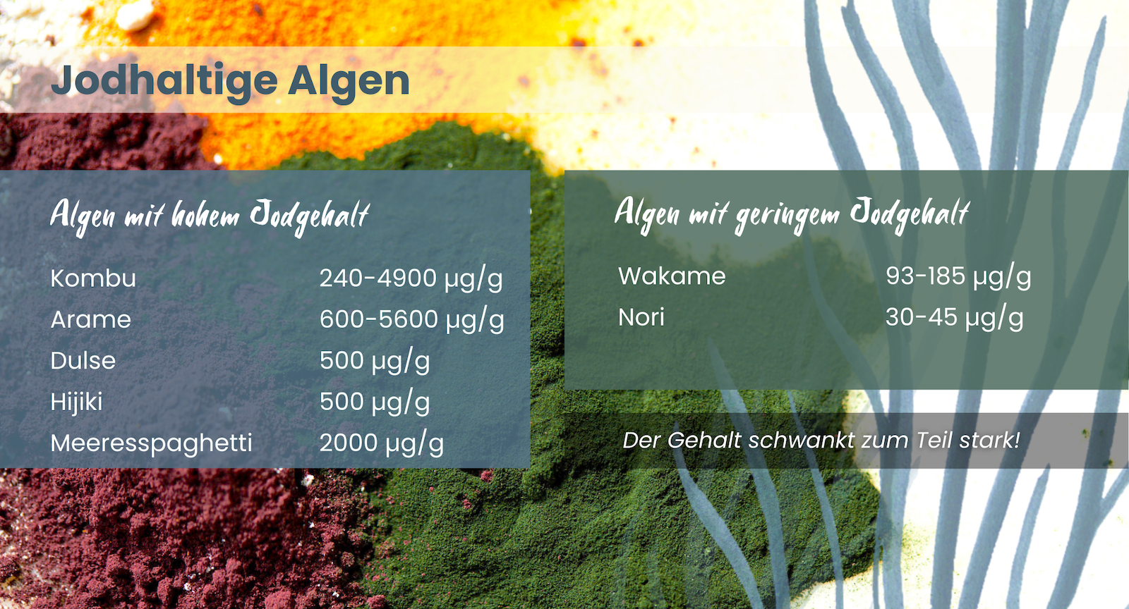 Jodgehalt verschiedener Algen