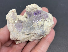 Load image into Gallery viewer, Vera Cruz Amethyst Crystal from Mexico 83g 2in FREE SHIPPING