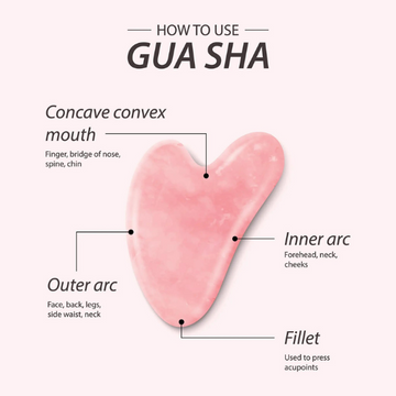 gua sha (11).png