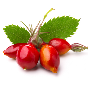 rosehip seed.png