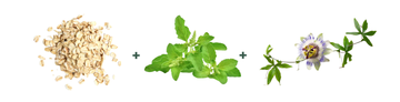 tencture-herbs-2.png