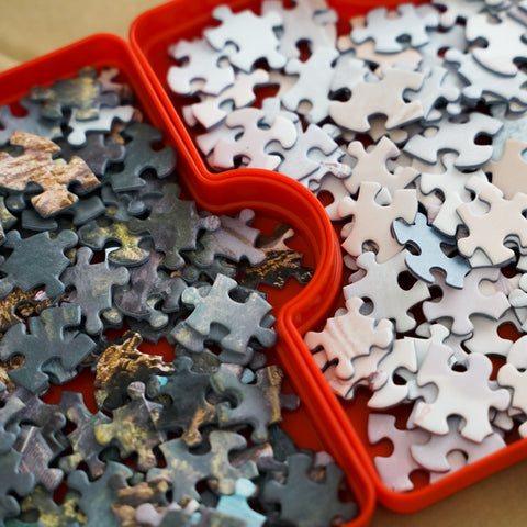 Sorting out 1000 piece jigsaw puzzle