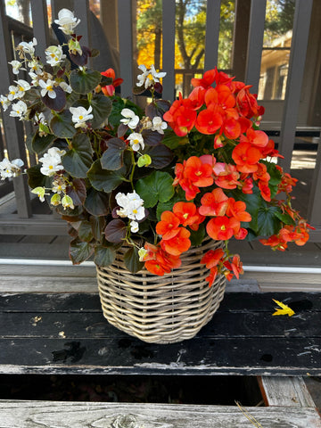 The Last of Summer Flowerpots