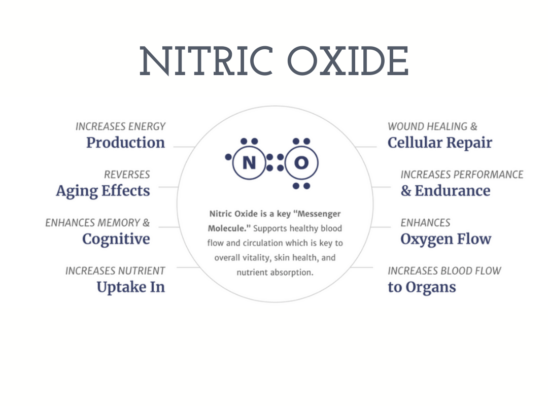 Nitric Oxide production