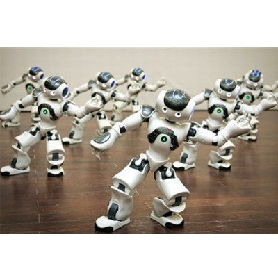 Where do you buy a NAO Robot?