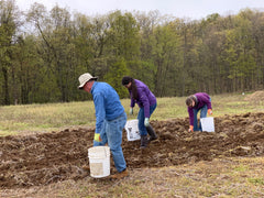 Picking rocks at Hickory View Farms