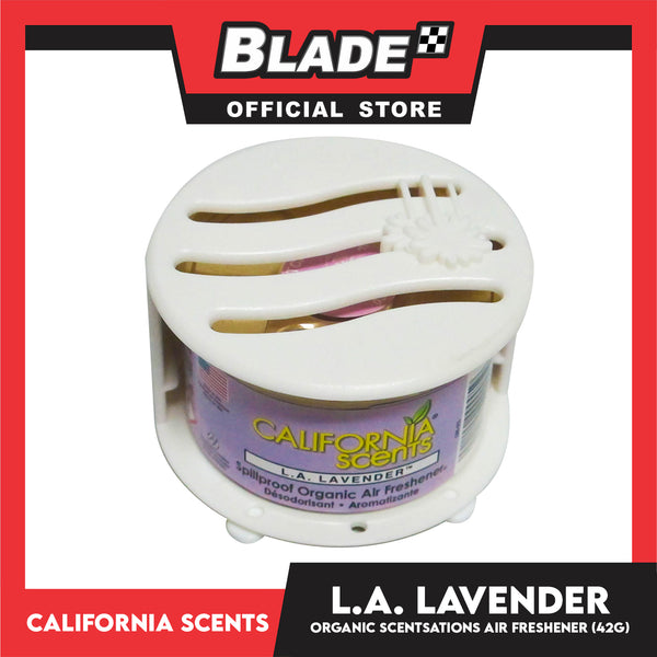 California Scents Black Ice Air Freshener – AHPI