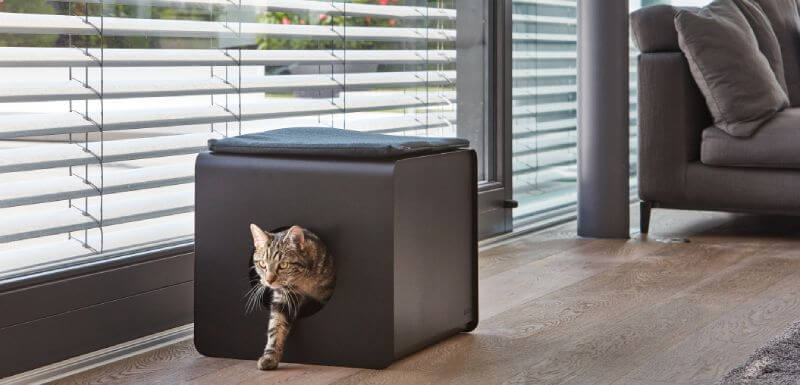 Enfin Une Litiere Pour Chat Design Elegante Et Discrete Furst