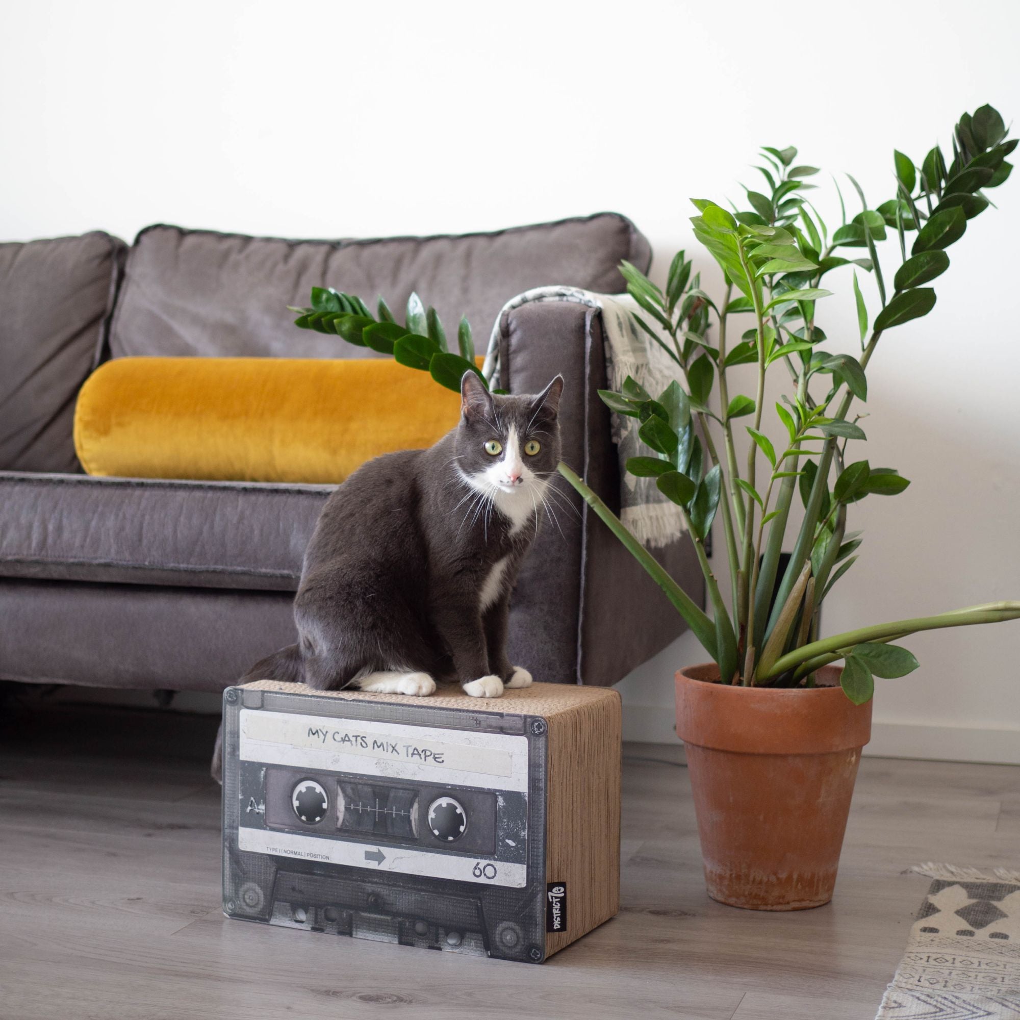 Furst Griffoir Design Cassette Pour Chat