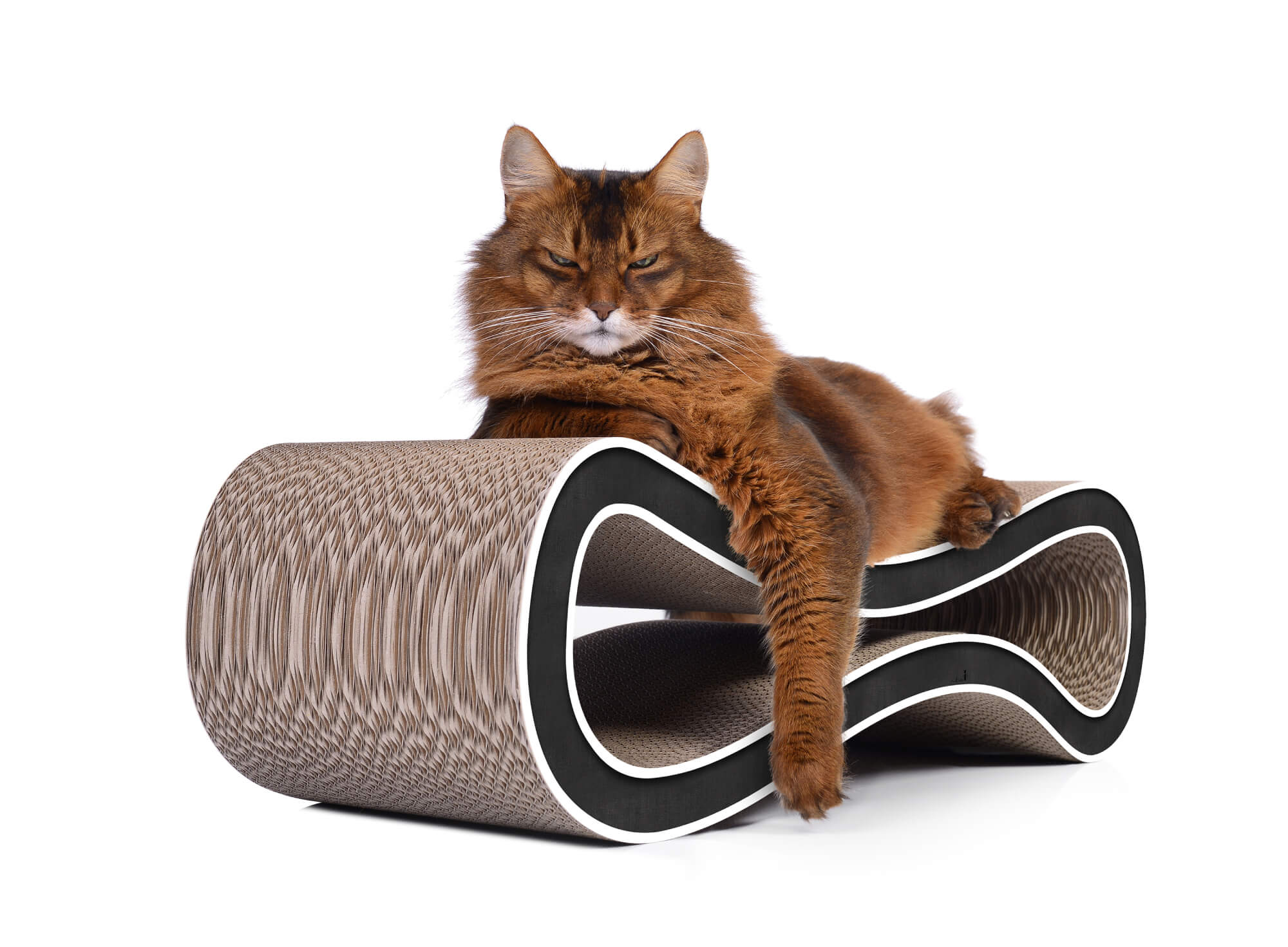 Furst Designer Cat Scratching Post Cat On Cat Racer Model