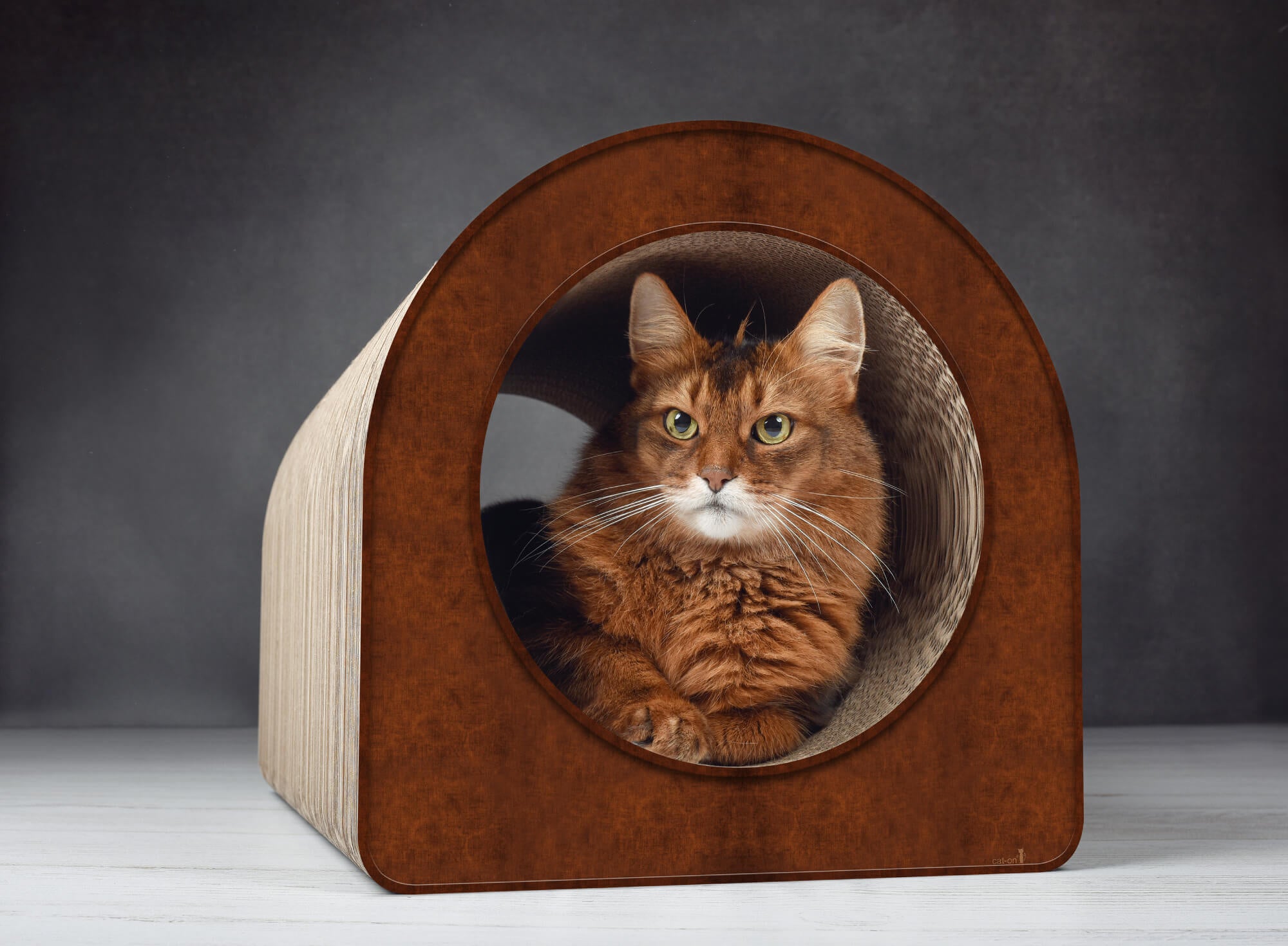 Furst Griffoir Design Pour Chat Modele Le Tube De Cat On