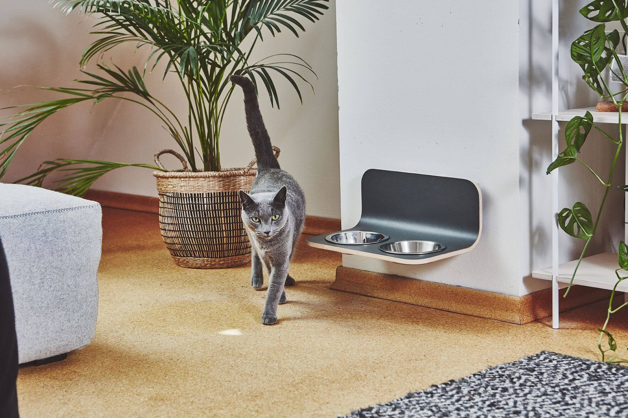 Furst Gamelles Design Murales Pour Chat