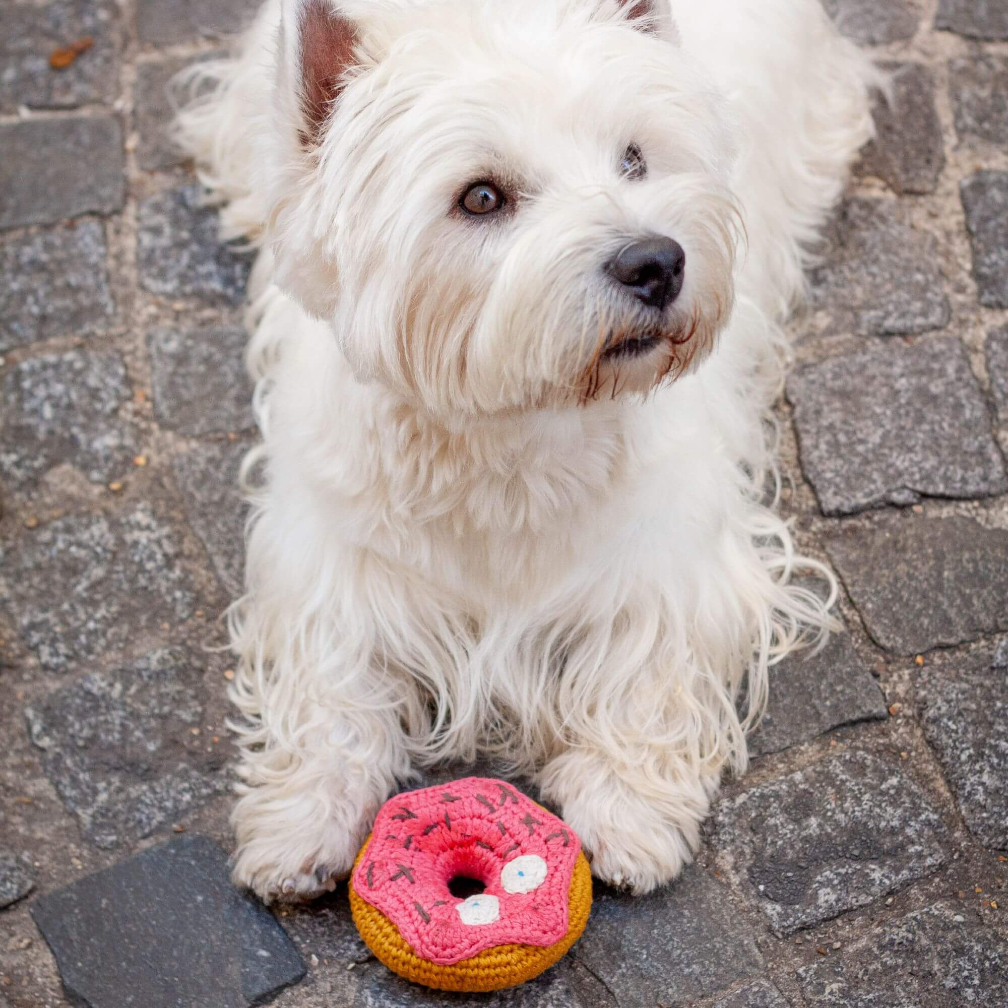 Furst ポップカルチャー からの犬のためのおもちゃドーナツファン