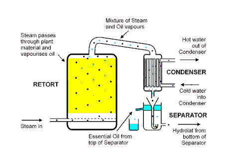 steam distillation process